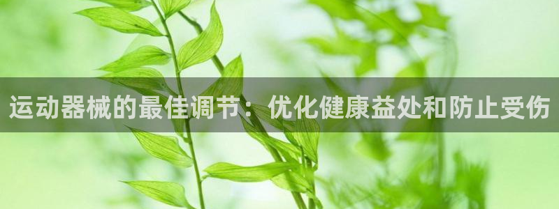 尊龙凯时家居是品牌吗：运动器械的最佳调节：优化健康益