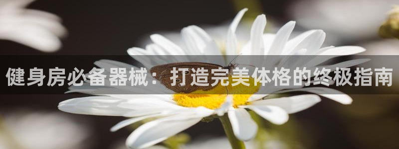 尊龙凯时登录：健身房必备器械：打造完美体格的终极指南