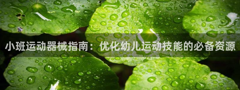 尊龙凯时取款24小时不到账：小班运动器械指南：优化幼