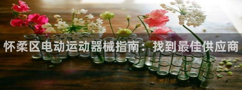 尊龙ag旗舰厅登陆：怀柔区电动运动器械指南：找到最佳