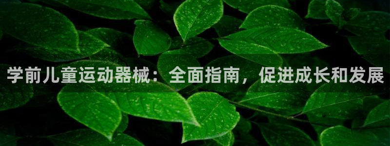 尊龙网站注册站注册：学前儿童运动器械：全面指南，促进