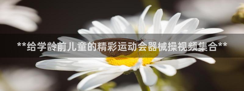 尊龙凯时公司官网