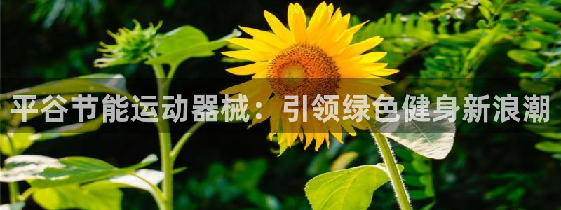 尊龙ag旗舰：平谷节能运动器械：引领绿色健身新浪潮